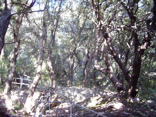 Pineta Lecceta di Chiavari